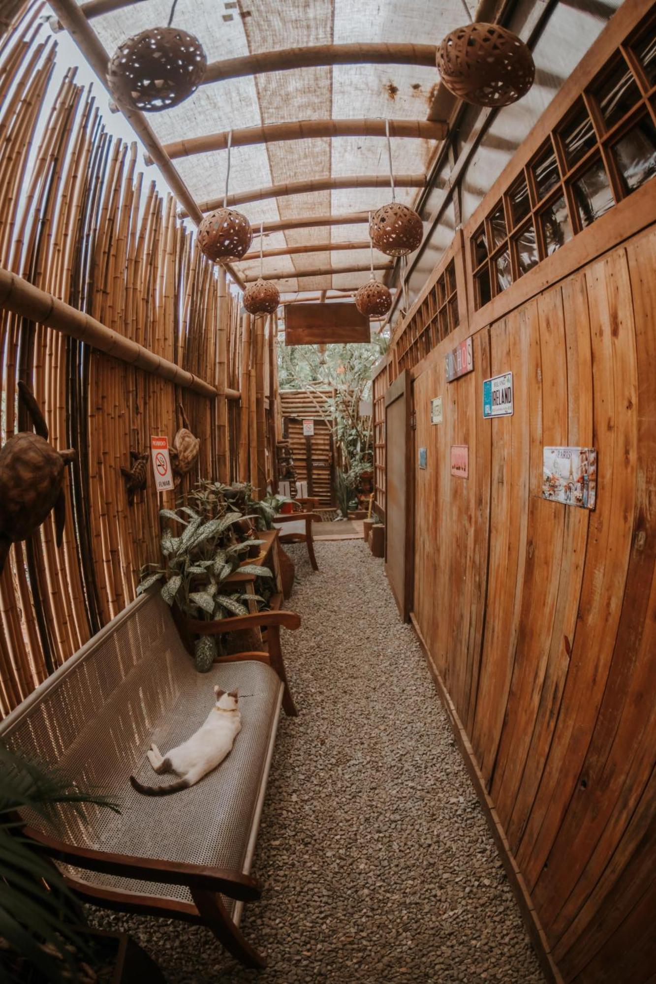Doce Lar Hostel Noronha Φερνάντο ντε Νορόνια Εξωτερικό φωτογραφία